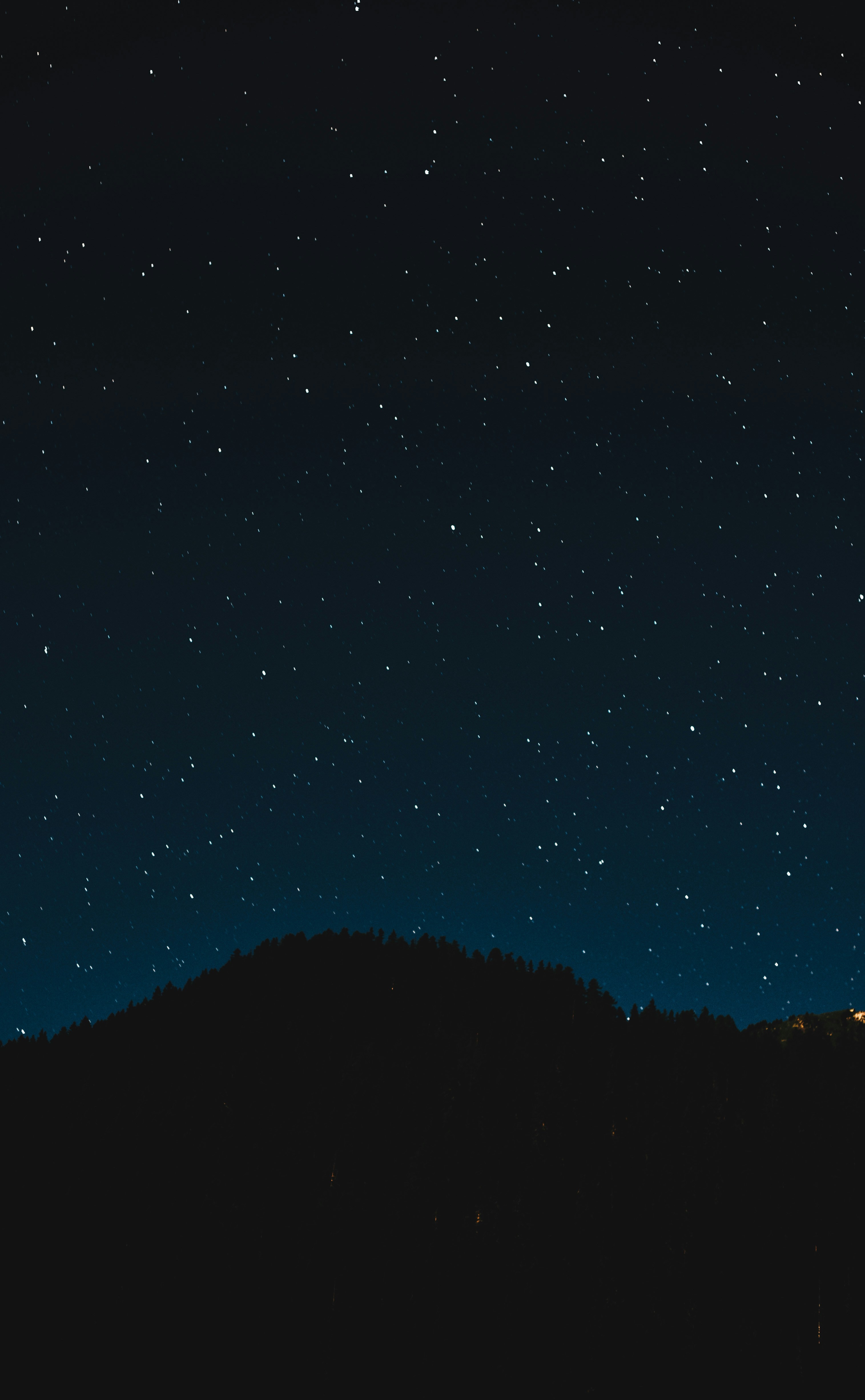 Led by Stars: Finding Hope and Tranquility in the Midst of Grief