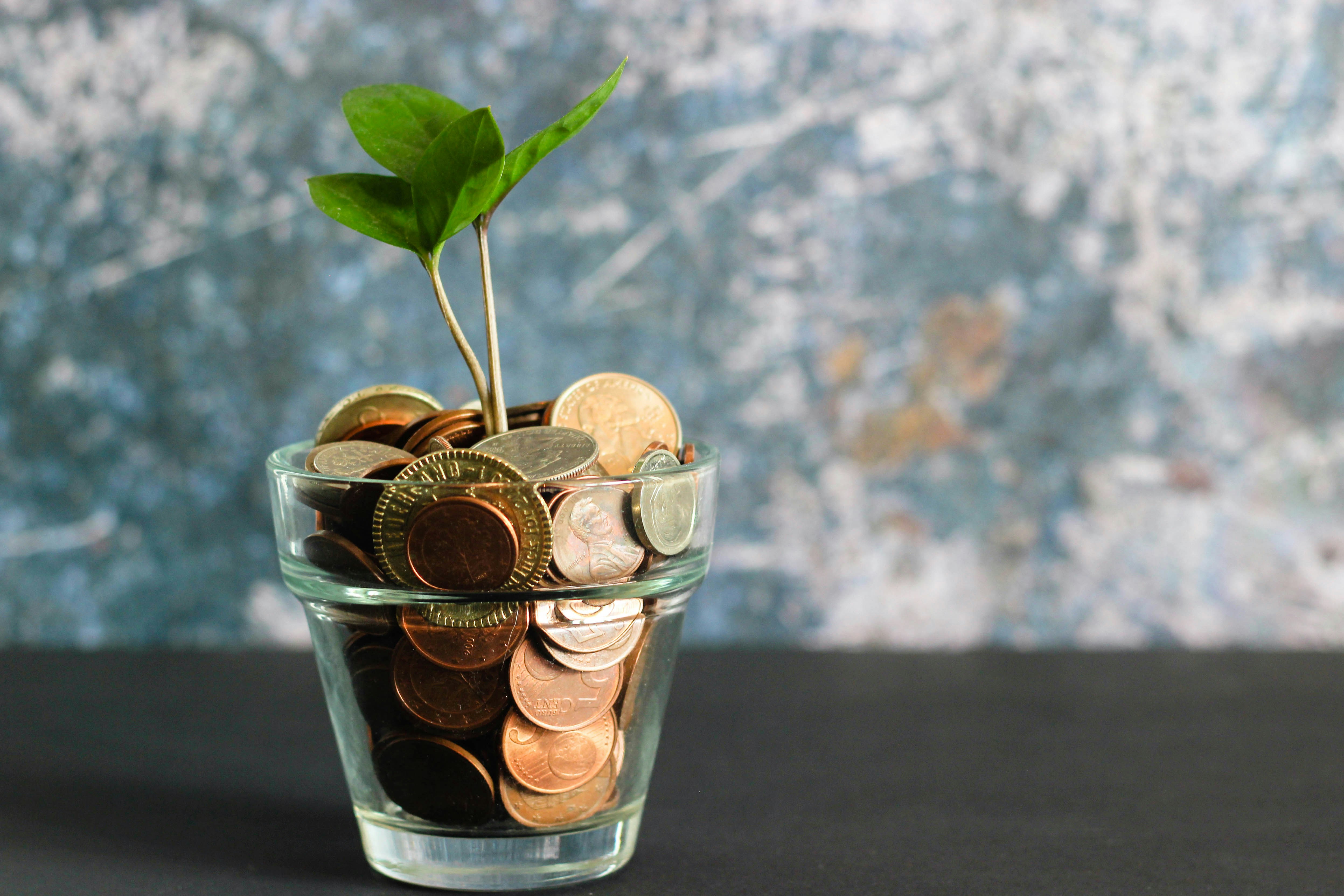 Maybe I’m Not Buying the Magic, But I’m Keeping the Money Bowl